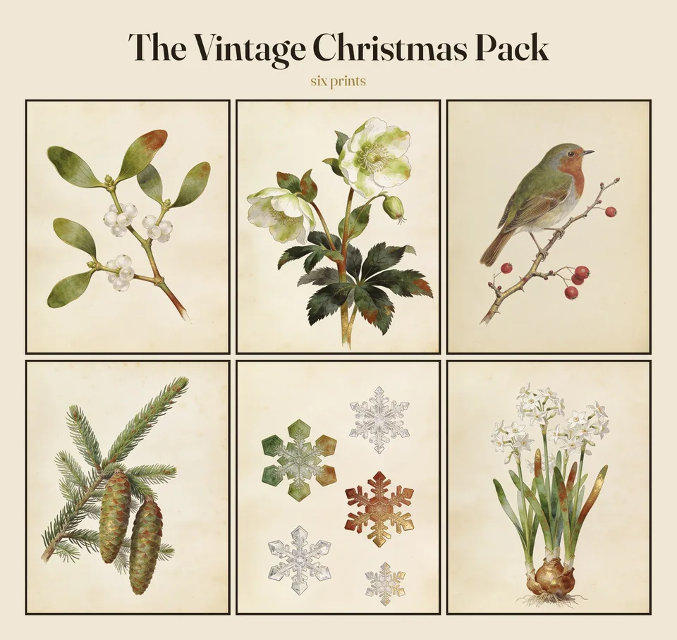 All six vintage Christmas prints laid out together under the heading The Vintage Christmas Pack: a mistletoe sprig hung with white berries, two hellebore blooms and a bud over dark palmate leaves, a robin on a berried hawthorn twig, a spruce sprig holding two cones, five snow crystals in silver, green and gilded red, and paperwhite narcissus drawn whole from bulb to flower, each painted in watercolour on aged cream paper